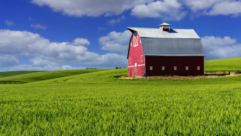 Barn Construction in Wilmington, NC