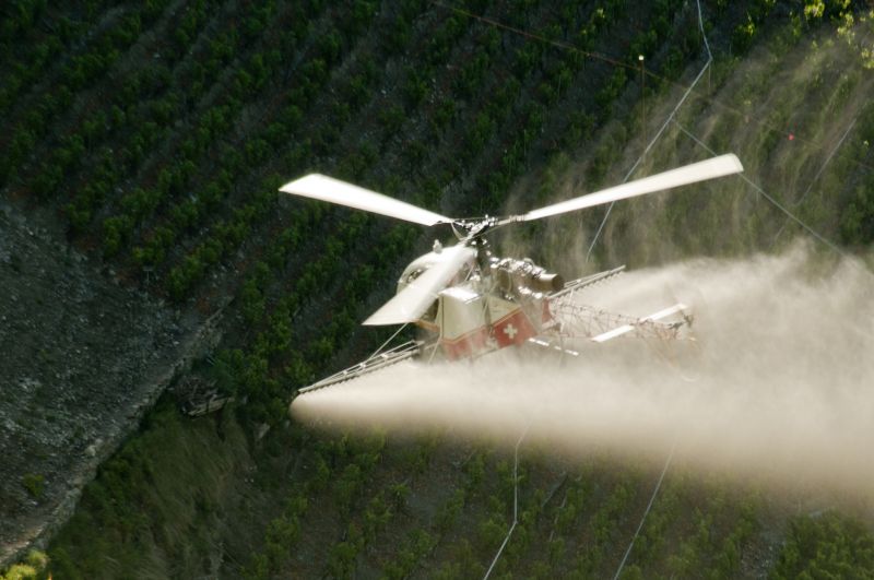 Vineyard Trellis Installation