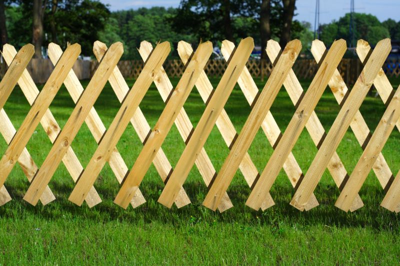 Fence Trellis Installation in Conroe, TX