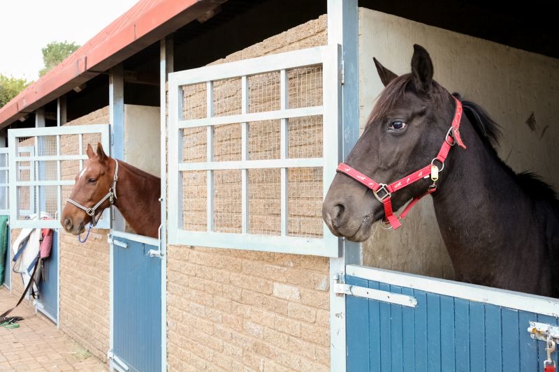 Horse Stall Repair in Wilmington, NC