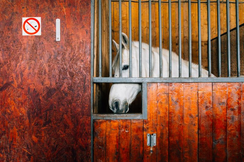 Horse Stall Repair in Alpharetta, GA