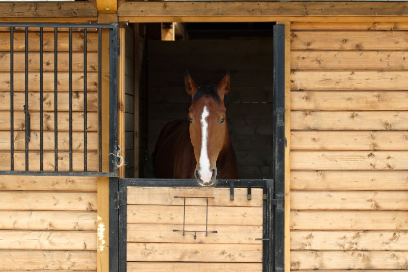 Stable Repair in Wilmington, NC