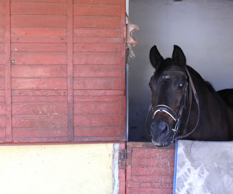 Stable Repair in Kansas City, KS