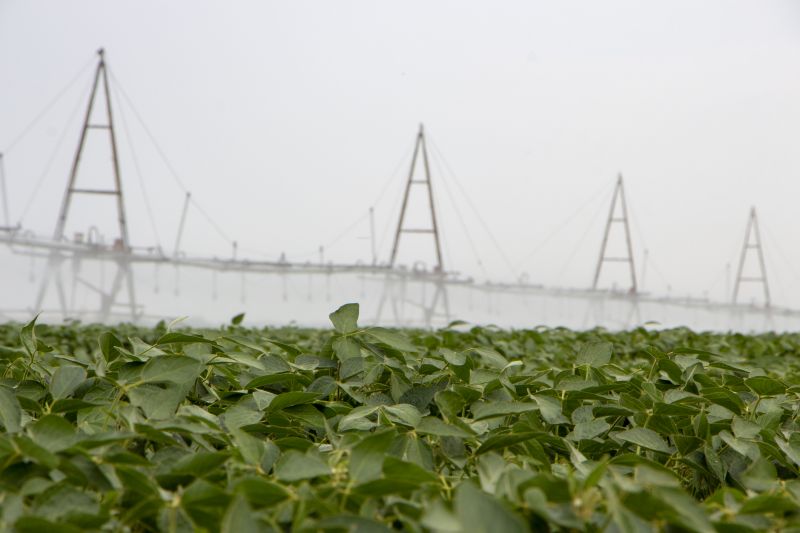 Irrigation and Integration